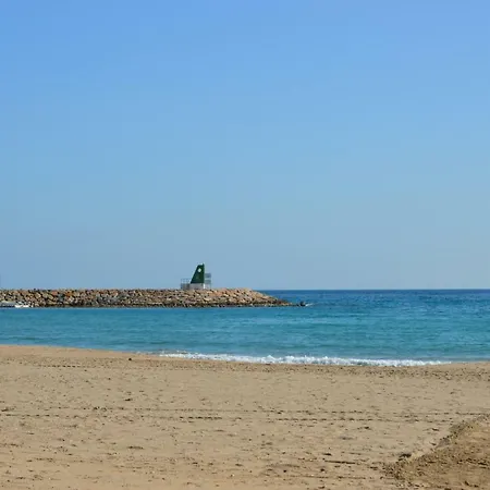 Alicante Dariodoris El Campello
