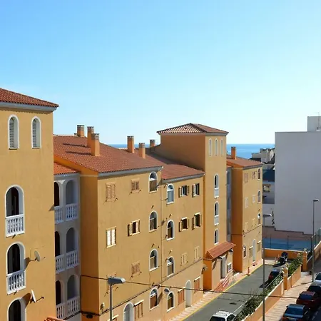 Alicante Dariodoris