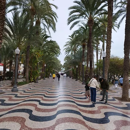 Alicante Dariodoris