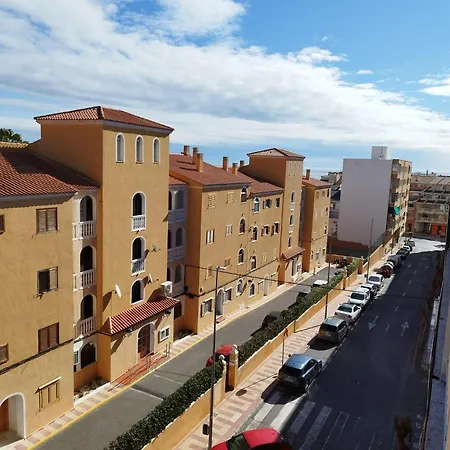 Alicante Dariodoris