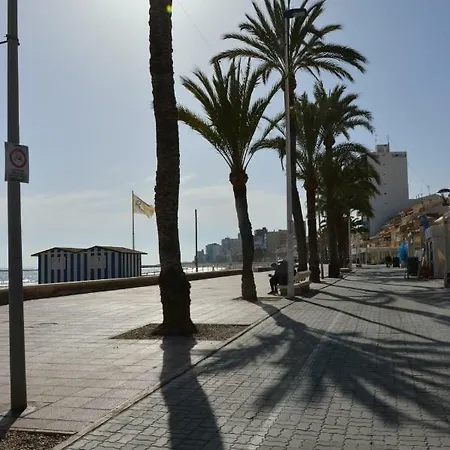 Alicante Dariodoris *