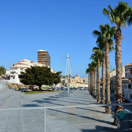 Alicante Dariodoris *